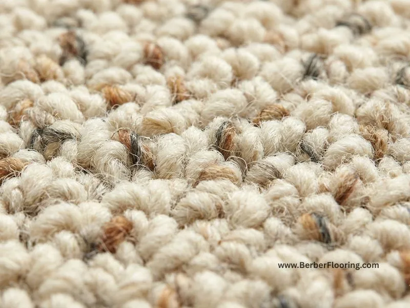 Close-up texture of multi-colored flecked Berber carpet loops, showing dirt-hiding color variations.